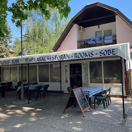 Feher Akac Guest House Palić المظهر الخارجي الصورة