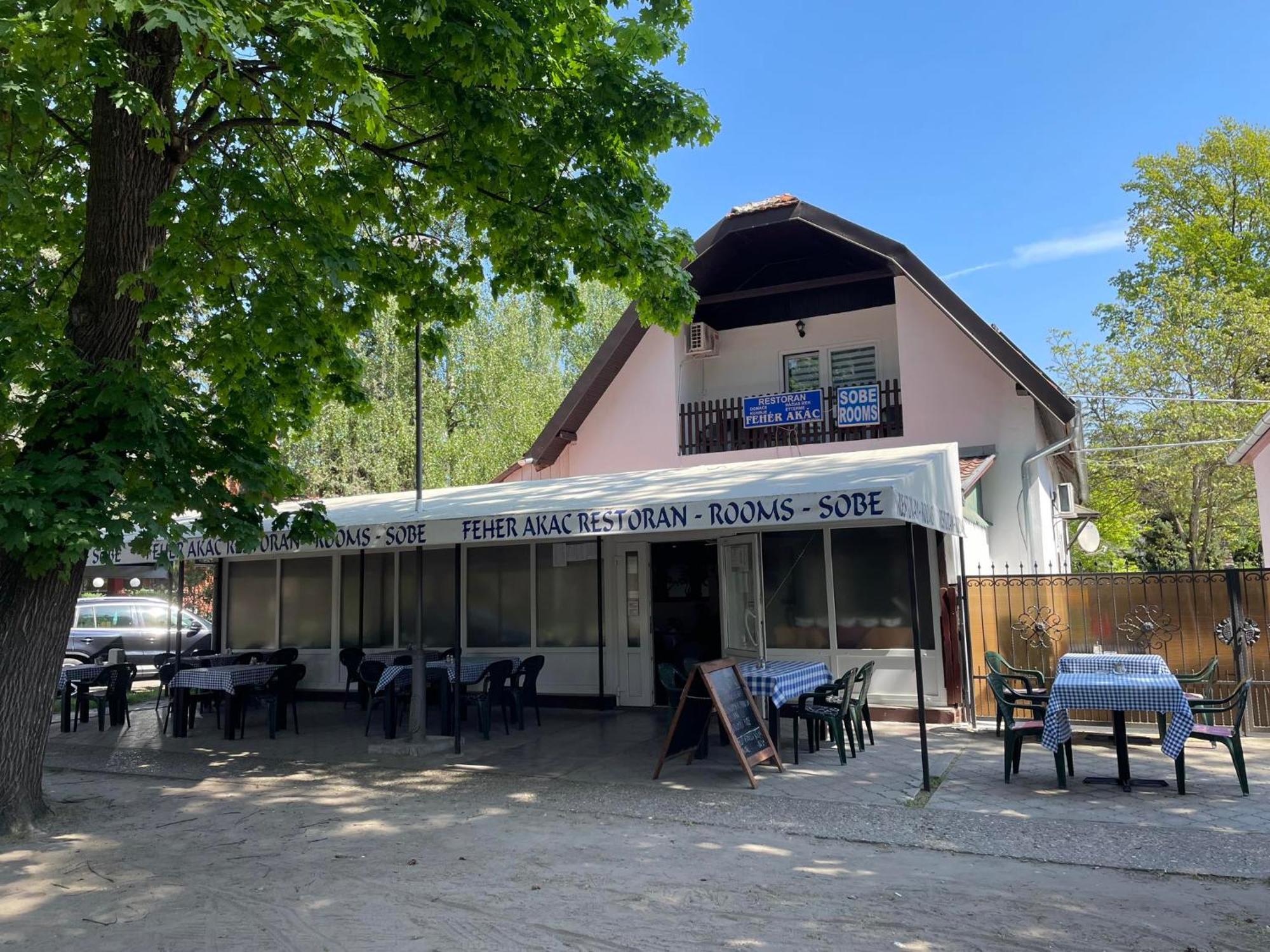 Feher Akac Guest House Palić المظهر الخارجي الصورة